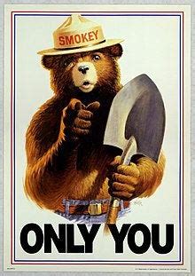 fictional icon with zip code|TIL Smokey Bear has his own ZIP code (20252), and。